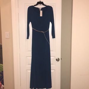 🎉 HP🎉 NWT Everly Grey Zelena Maternity Maxi Dress